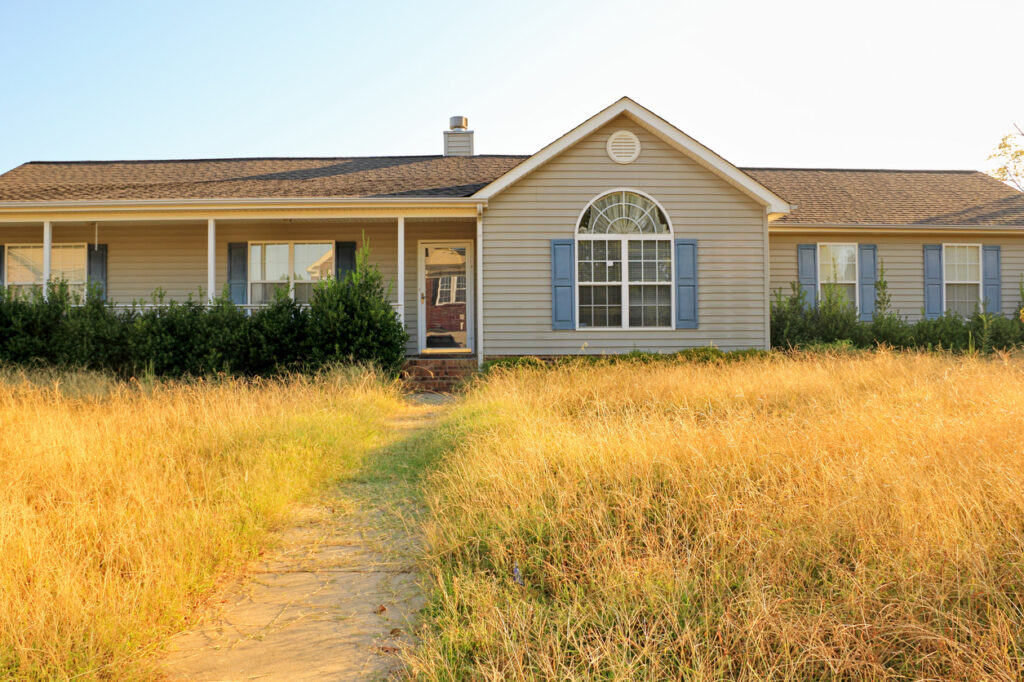 overgrown yard