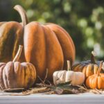 A colorful collection of pumpkins on a table, capturing the essence of fall outdoors.